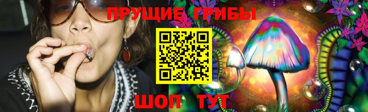 Корсаков  Галлюциногенные грибы MAGIC MUSHROOMS  где можно купить наркотик  Галлюциногенные грибы GOLDEN TEACHER  Вход с VPN 
